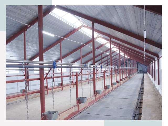 Строительство коровников в Гатчине от 617 руб.