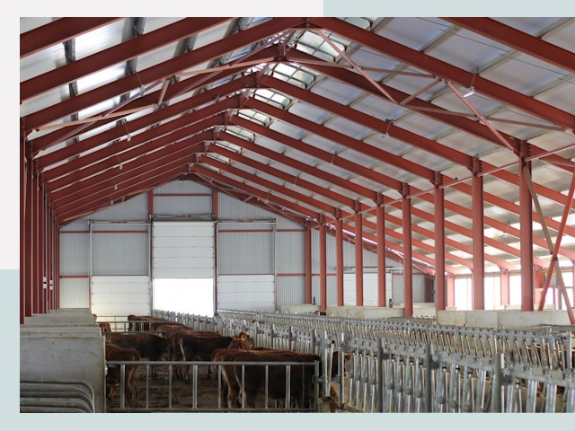 Строительство коровников в Гатчине