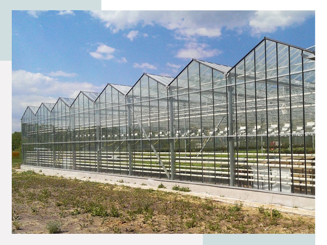 Строительство теплиц в Гатчина от 617 руб. за м²