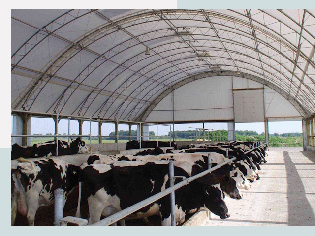 Тентовые коровники в Гатчине